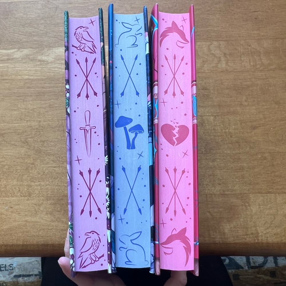 Fairyloot Editions of Once Upon a Broken Heart - Picture 2 of 10